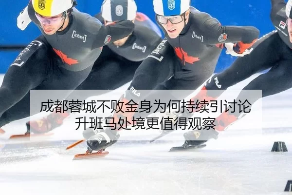 cheng-du-rong-cheng-bu-bai-jin-shen-wei-he-chi-xu-yin-tao-lun-sheng-ban-ma-chu-jing-geng-zhi-de-guan-cha-2-463.jpg