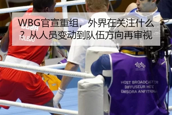 WBG官宣重组，外界在关注什么？从人员变动到队伍方向再审视